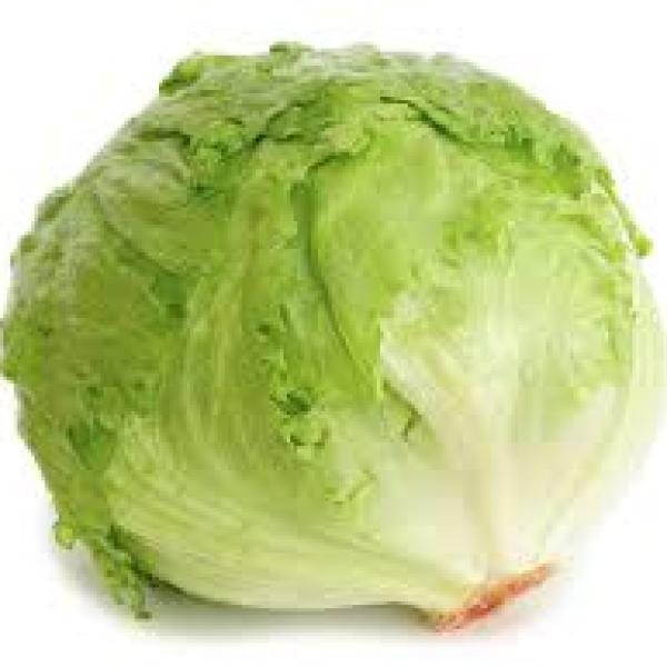 Lettuce Iceberg