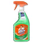 Mr Muscle Window 750ml