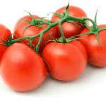 Tomato 6pk