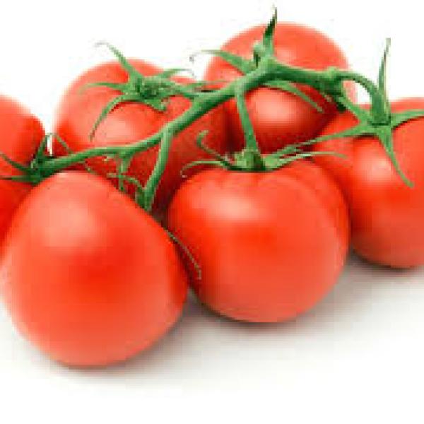 Tomato 6pk