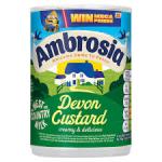 Ambrosia Devon Custard Can