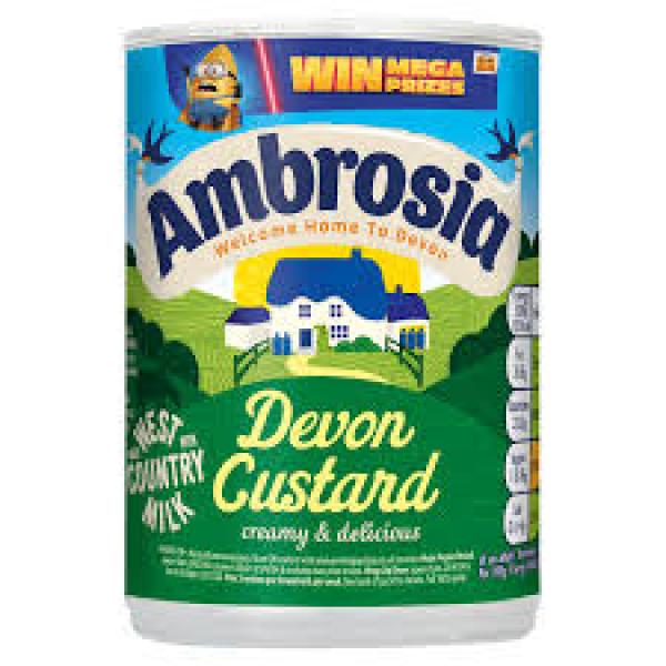 Ambrosia Devon Custard Can