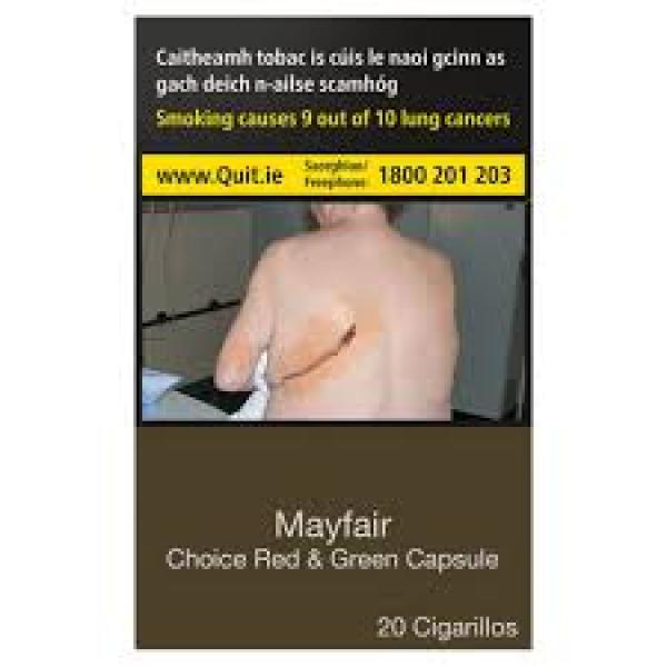 Mayfair Choice Red and Green 20pk