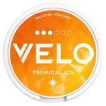Velo Tropical Ice Large 10mg